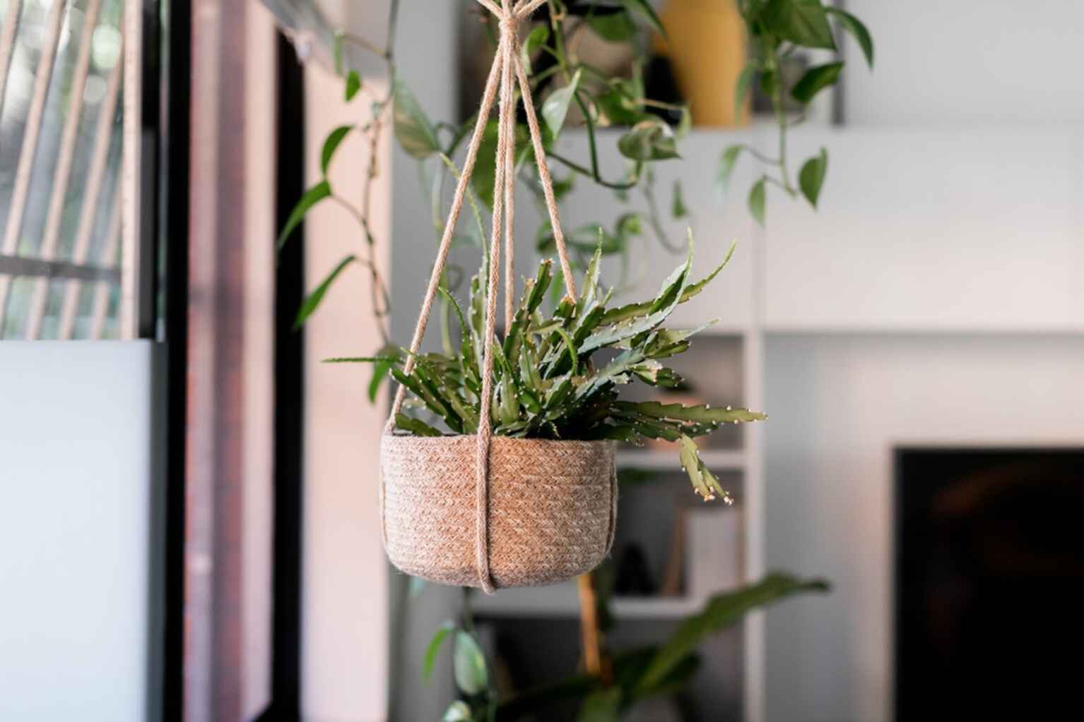 4/69 Warren Road Marrickville