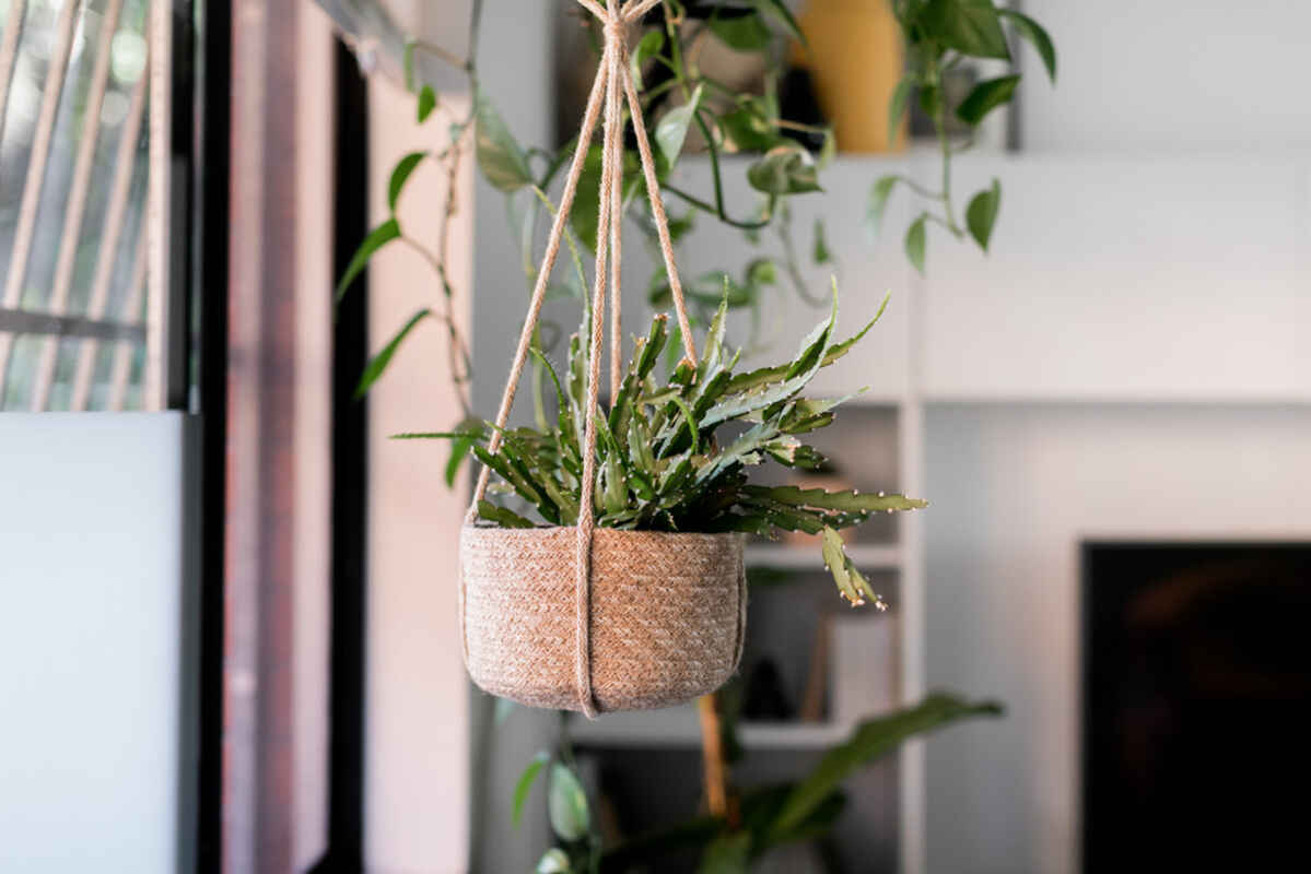 4/69 Warren Road Marrickville