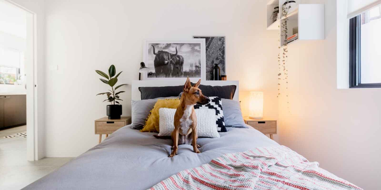 4/69 Warren Road Marrickville