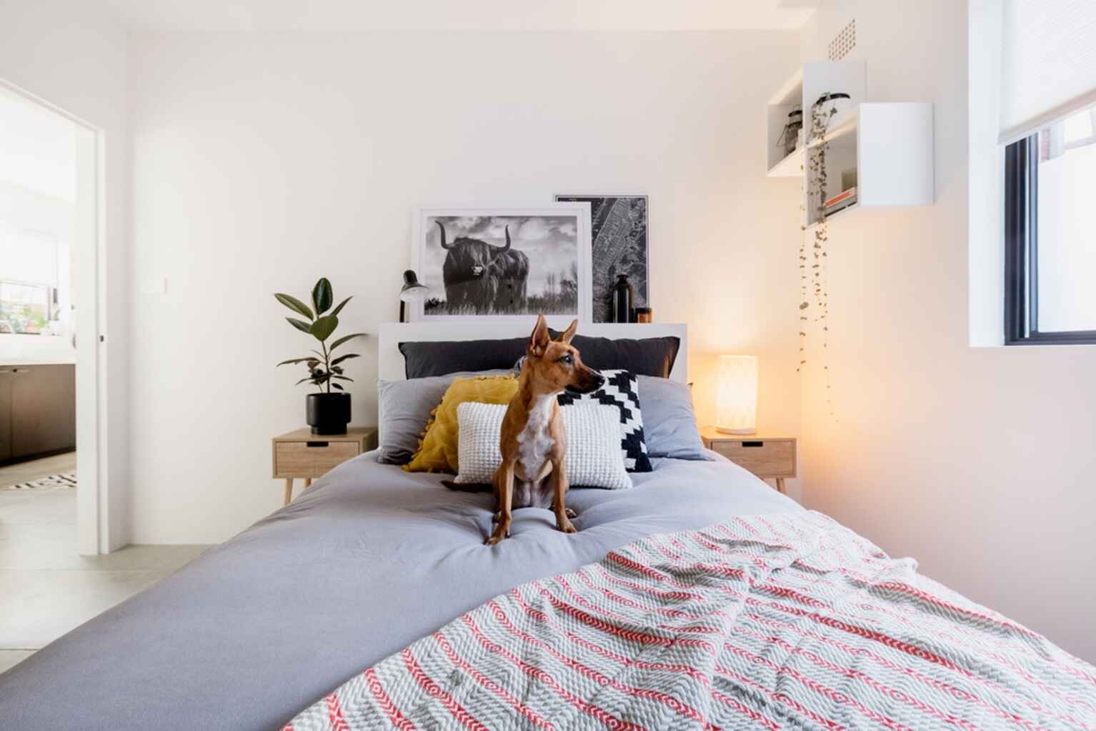 4/69 Warren Road Marrickville