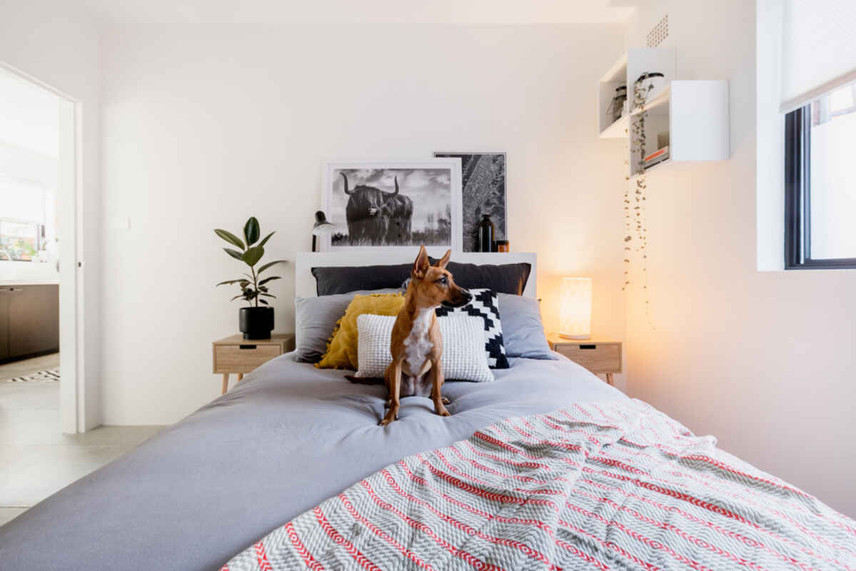 4/69 Warren Road Marrickville