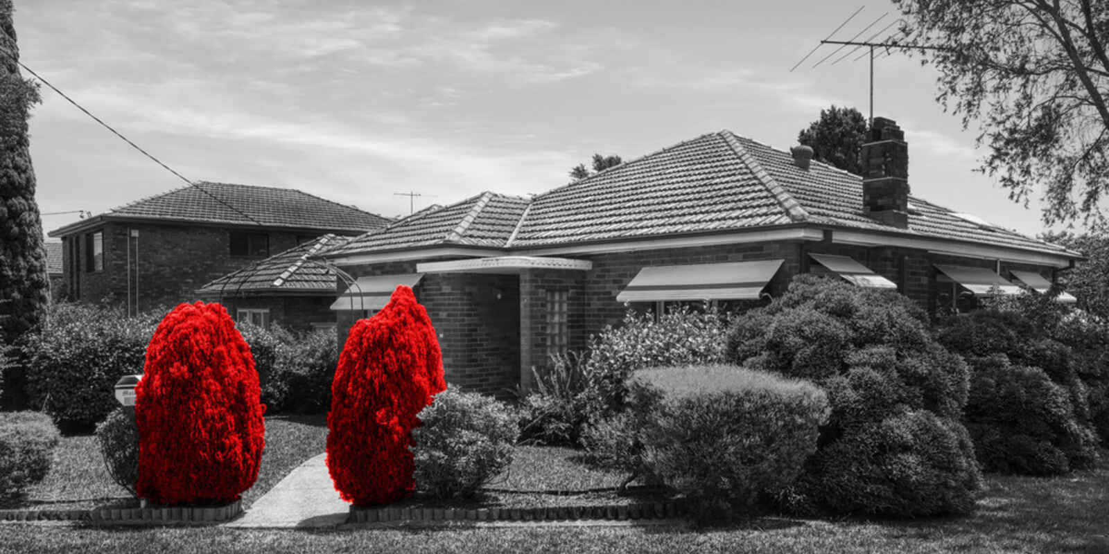 40 Chisholm Avenue Clemton Park