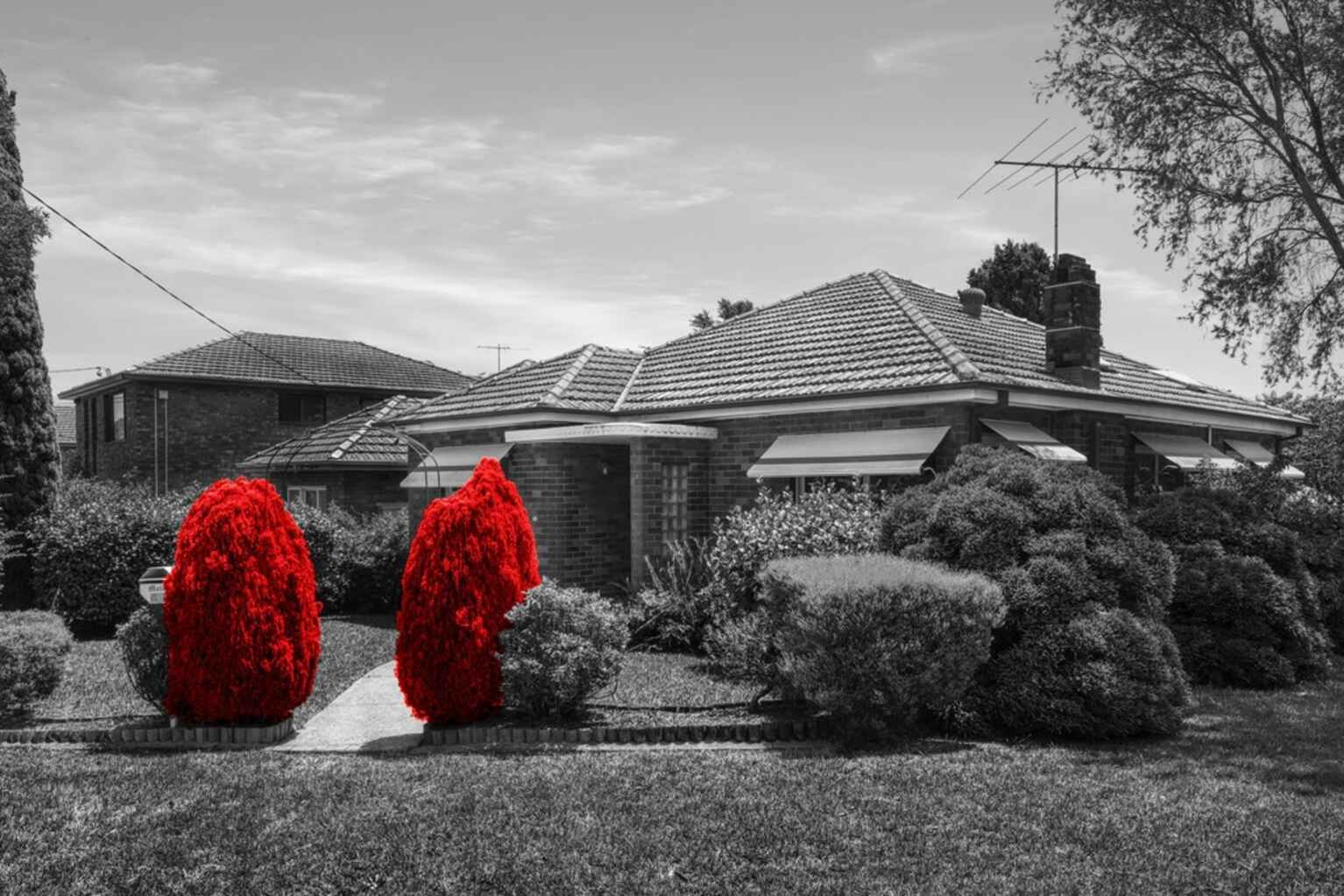 40 Chisholm Avenue Clemton Park 40 Chisholm Avenue Clemton Park