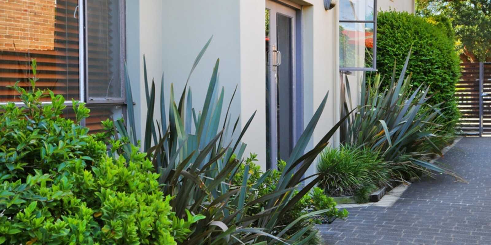 2/4 Marcia Street Hurlstone Park