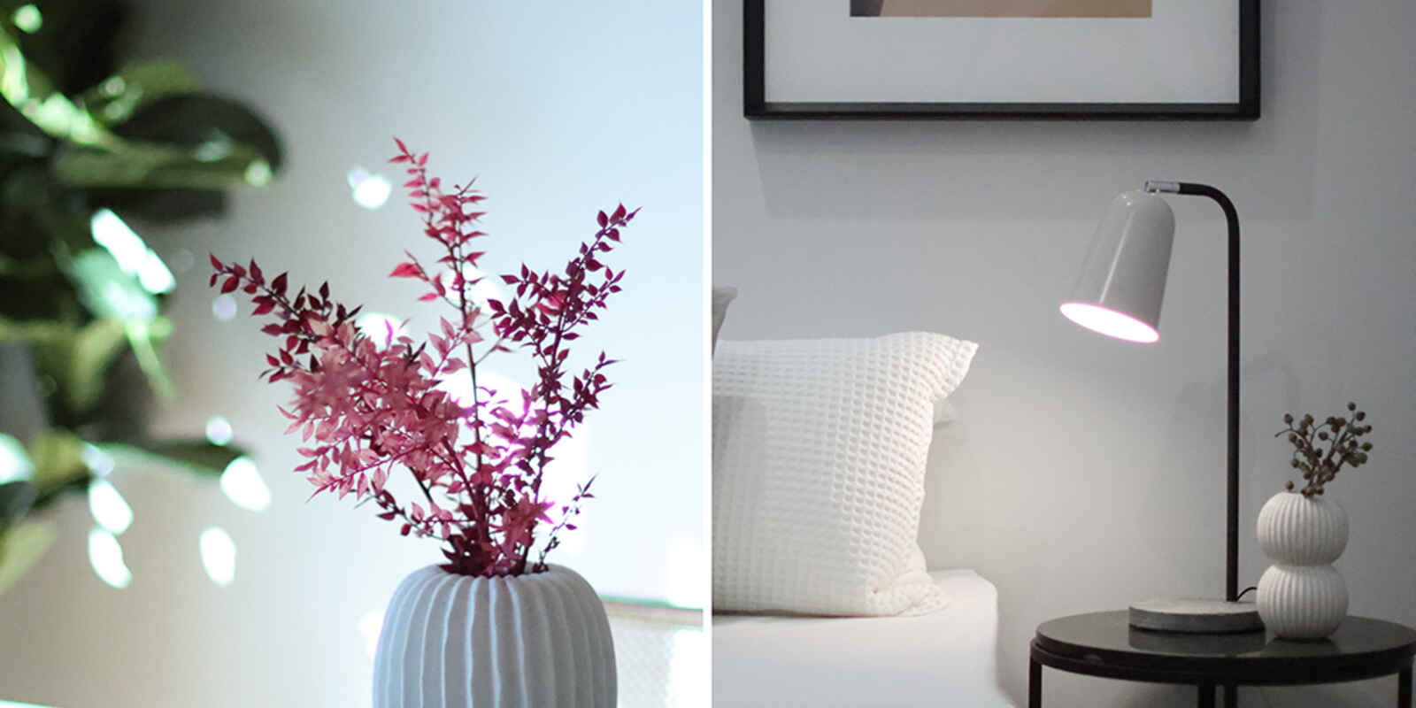 37 Victoria Road Marrickville 37 Victoria Road Marrickville