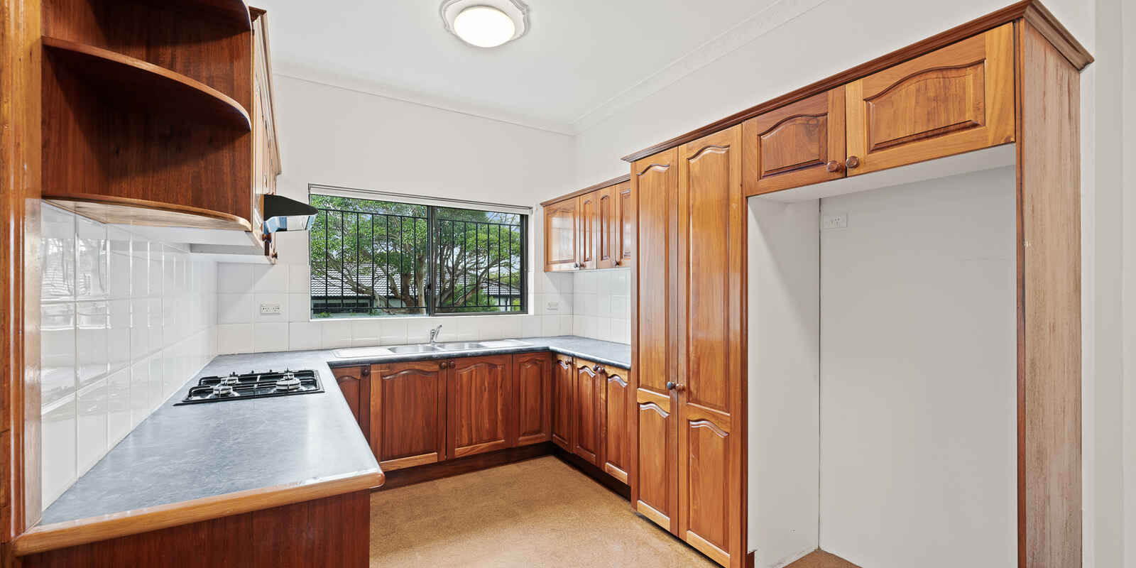 25 Dunstaffenage Street  Hurlstone Park