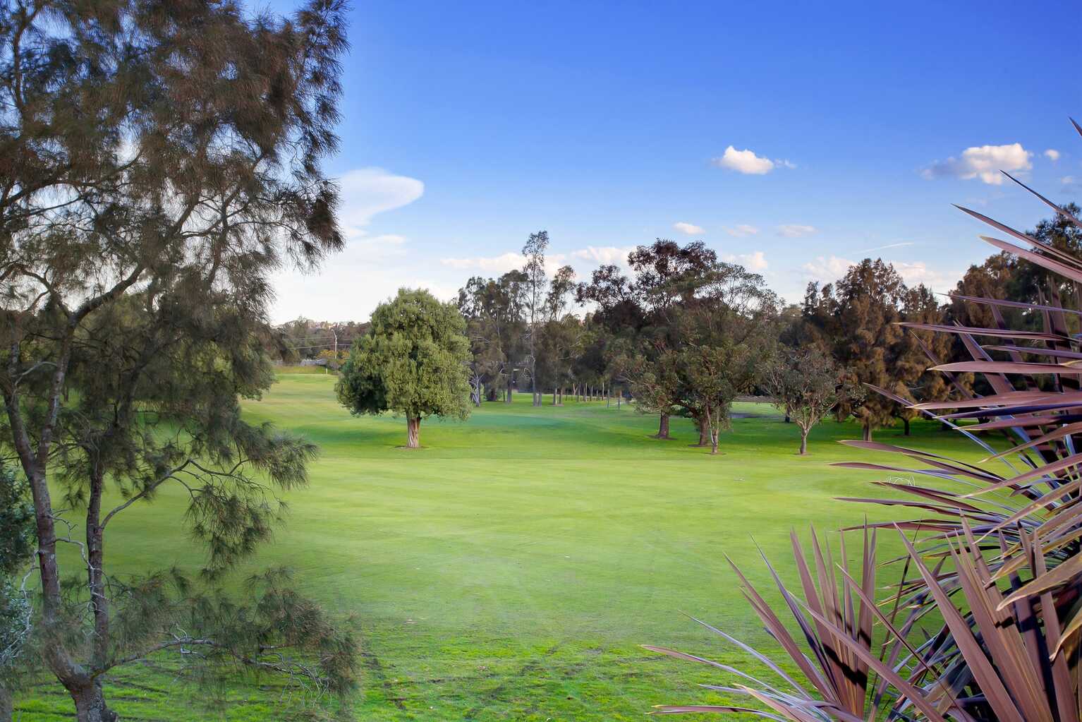 4/48 Duntroon Street Hurlstone Park