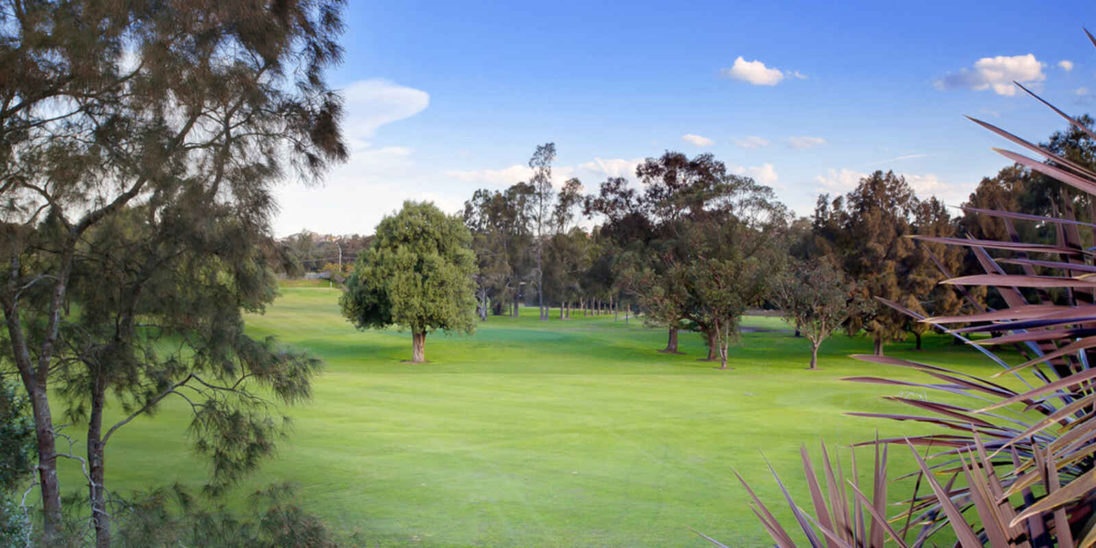3/8 Marcia Street Hurlstone Park