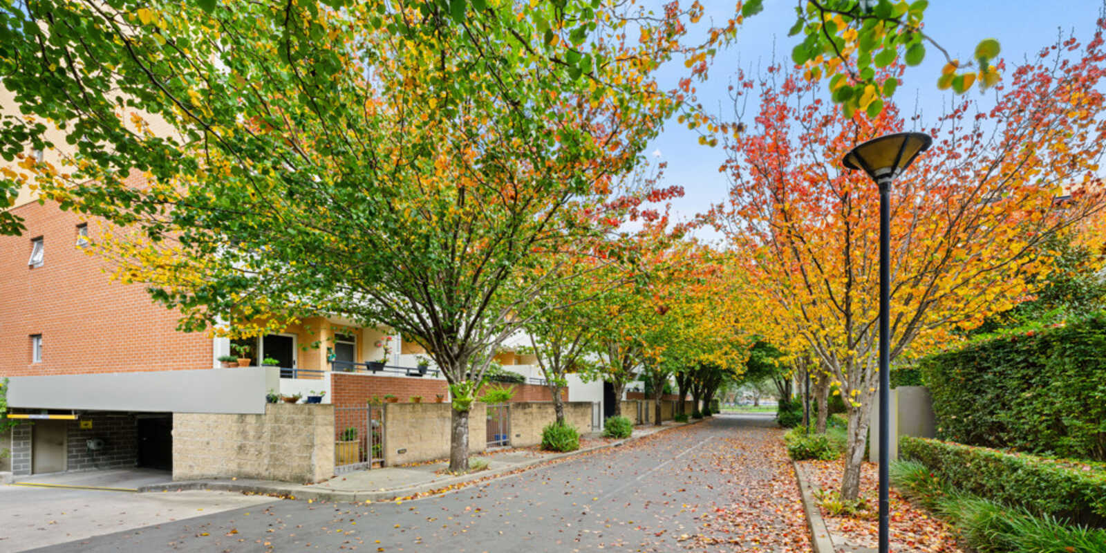 71/20 Close Street Canterbury