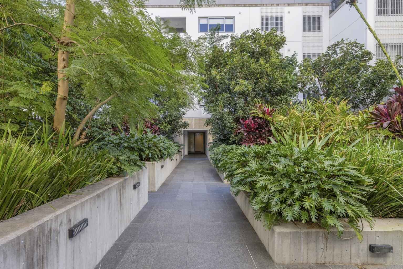 281/803 New Canterbury Road Dulwich Hill