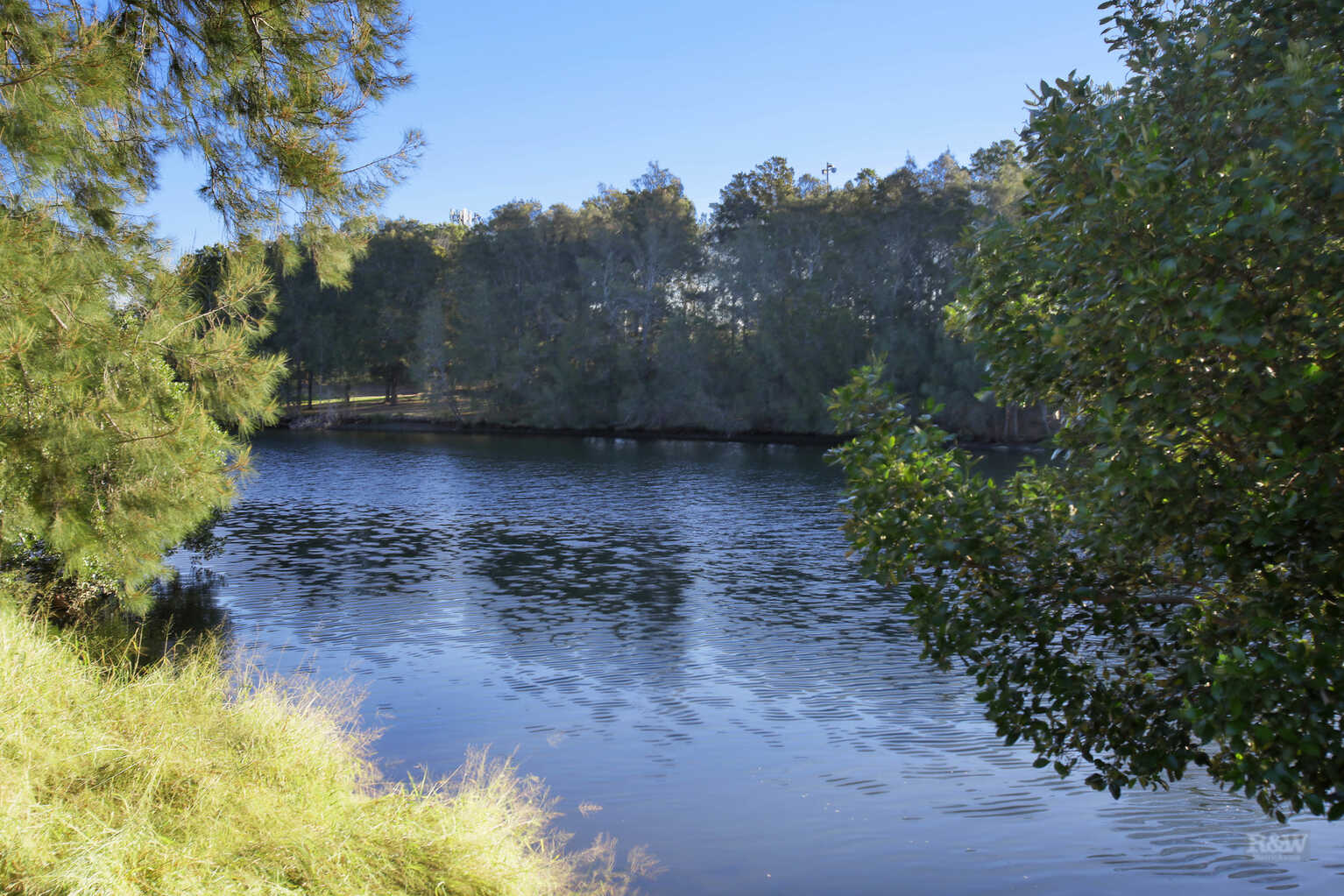 2/20 Crinan Street Hurlstone Park