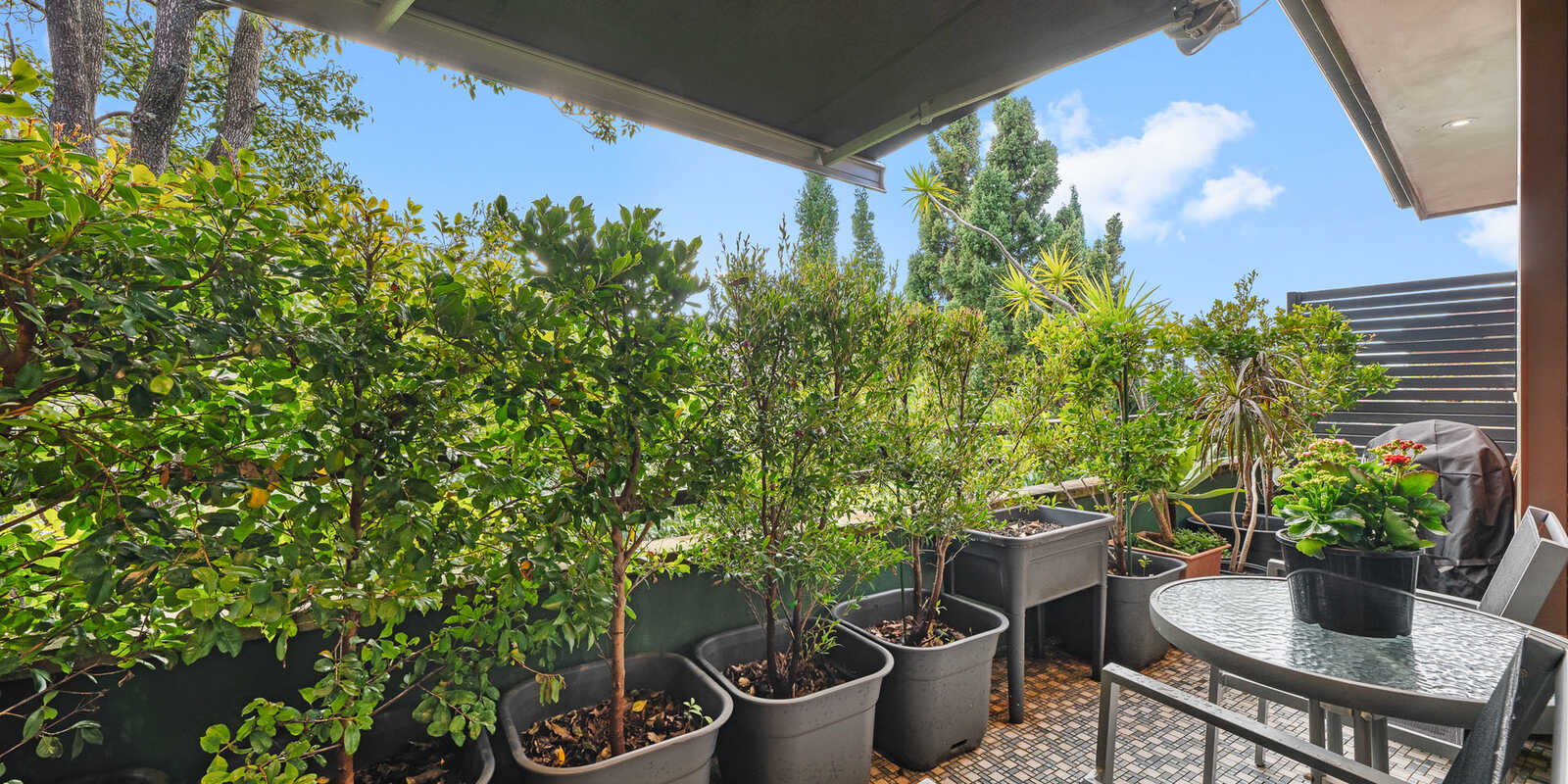 15/46 Terrace Road Dulwich Hill 15/46 Terrace Road Dulwich Hill
