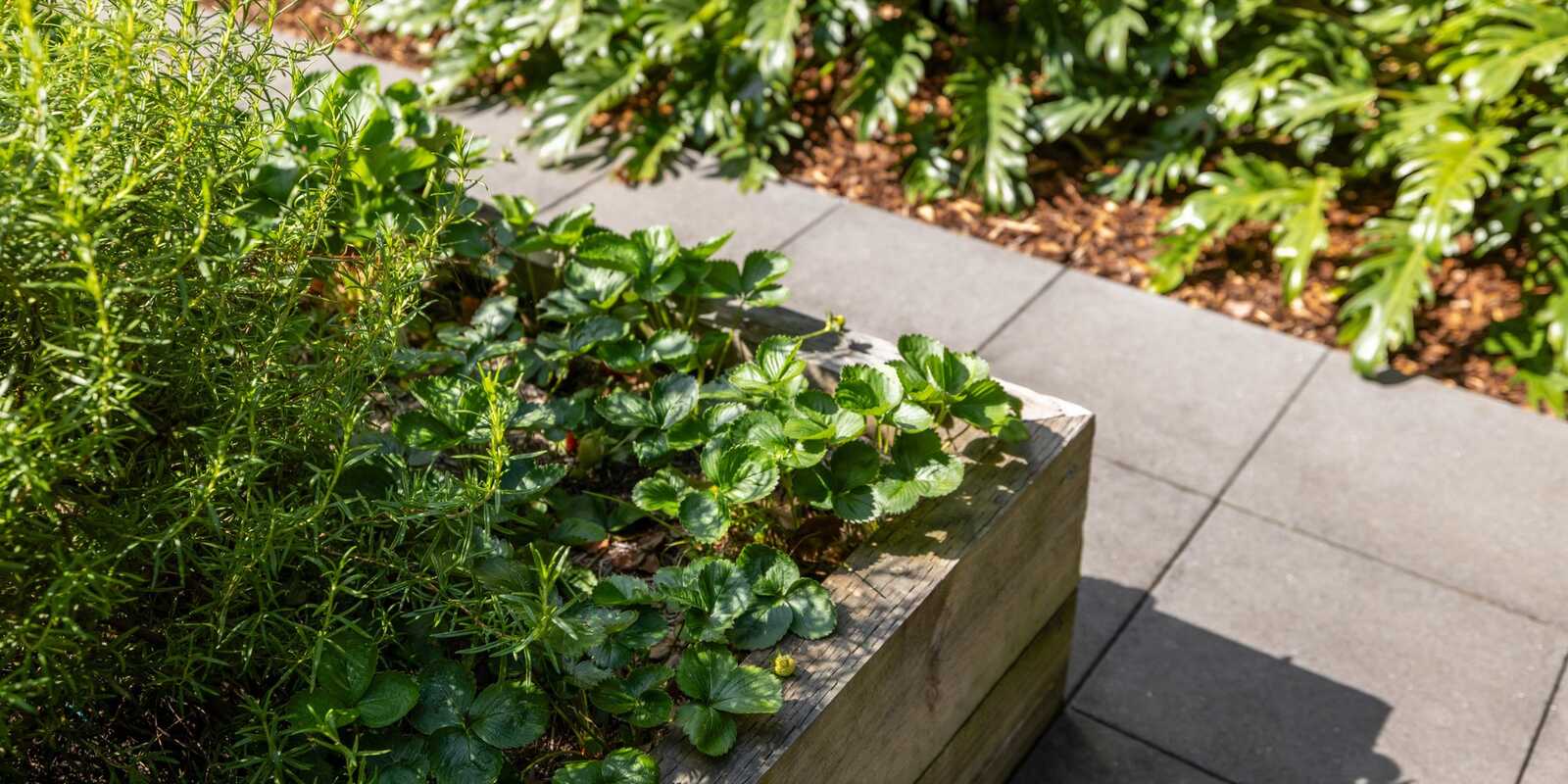 103/11 Osgood Avenue Marrickville 103/11 Osgood Avenue Marrickville