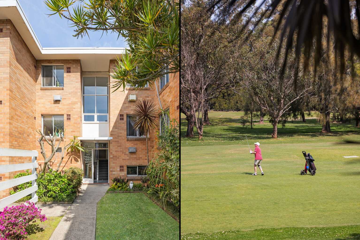 24/22 Ness Avenue Dulwich Hill 24/22 Ness Avenue Dulwich Hill