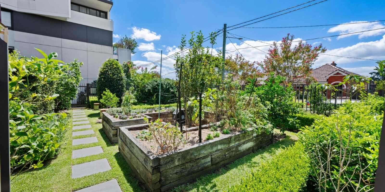 806/18 Lilydale Street Marrickville 806/18 Lilydale Street Marrickville