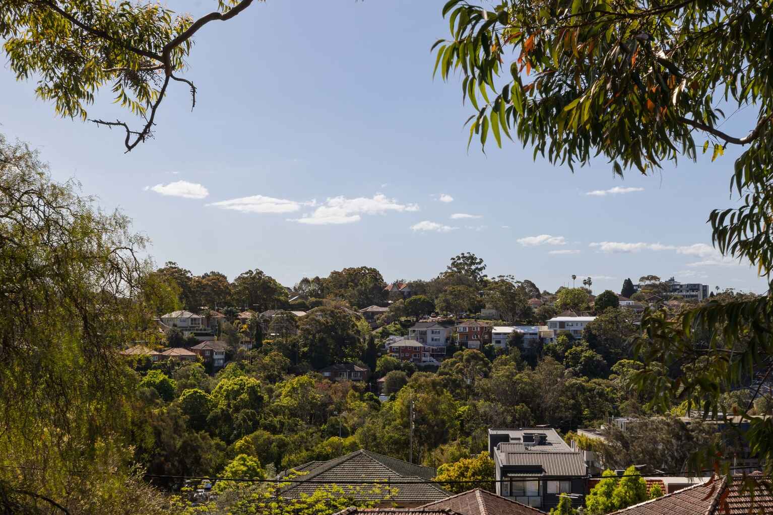 2 Crewe Street Bardwell Park