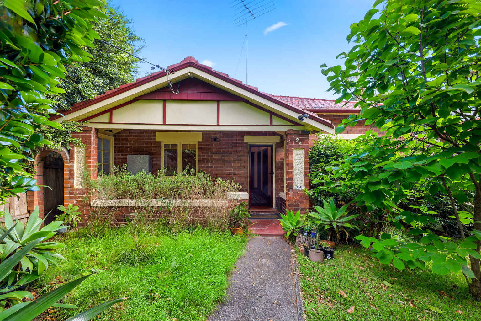 24 Kilbride Street Hurlstone Park
