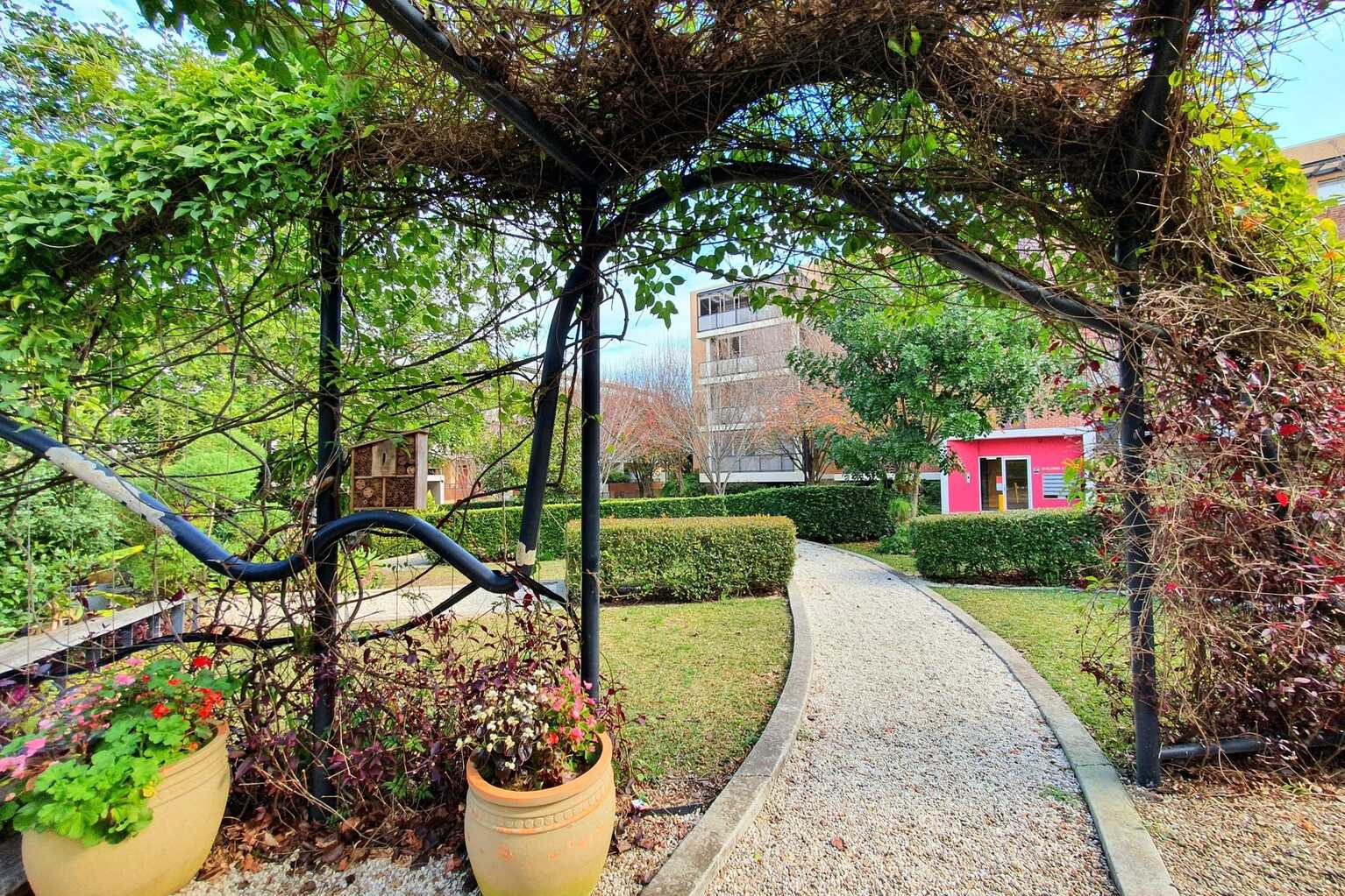 30/20 Close Street Canterbury