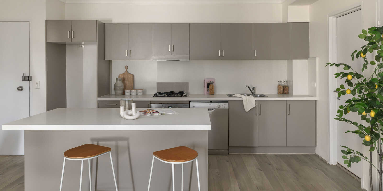 82/115 Constitution Road Dulwich Hill