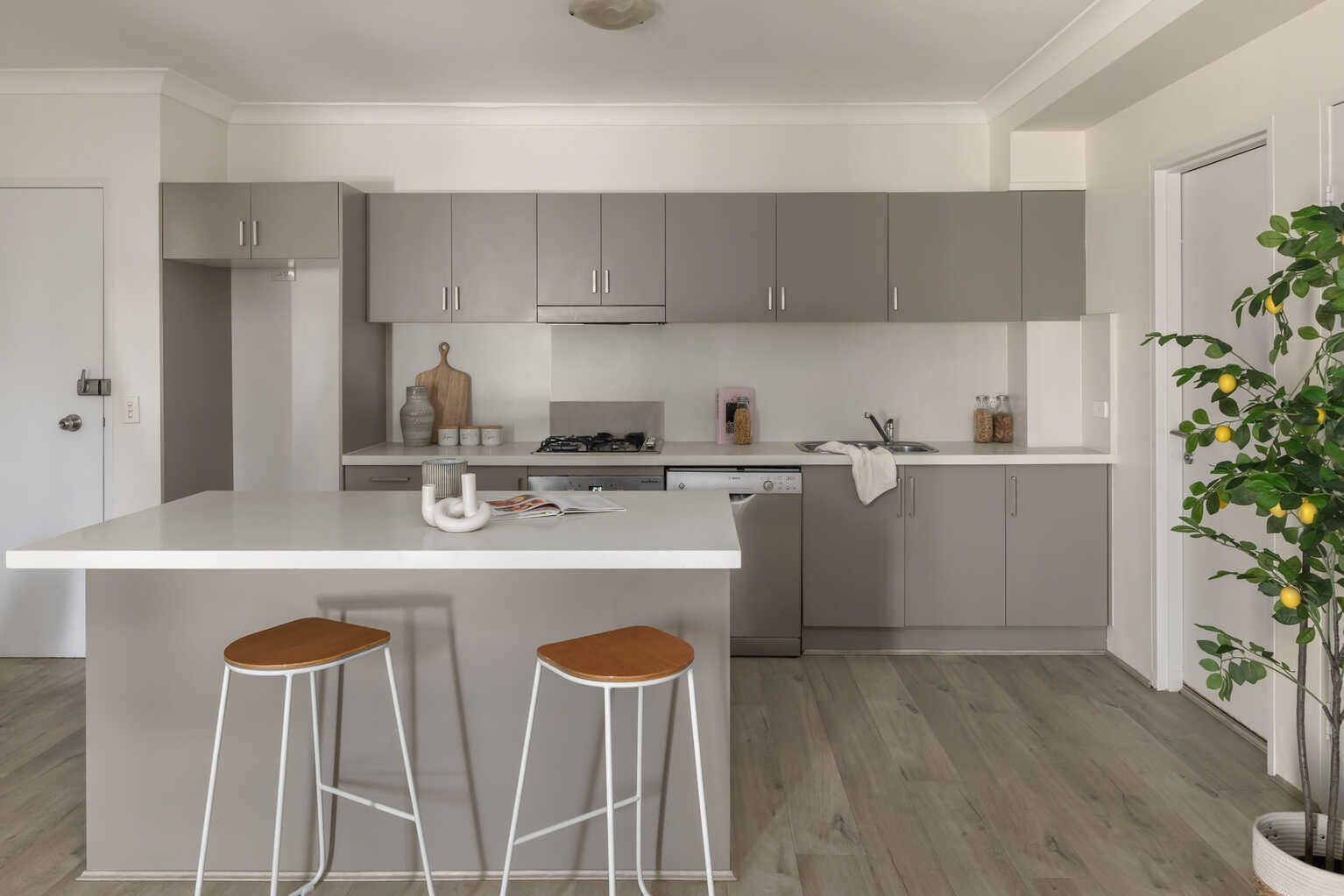 82/115 Constitution Road Dulwich Hill