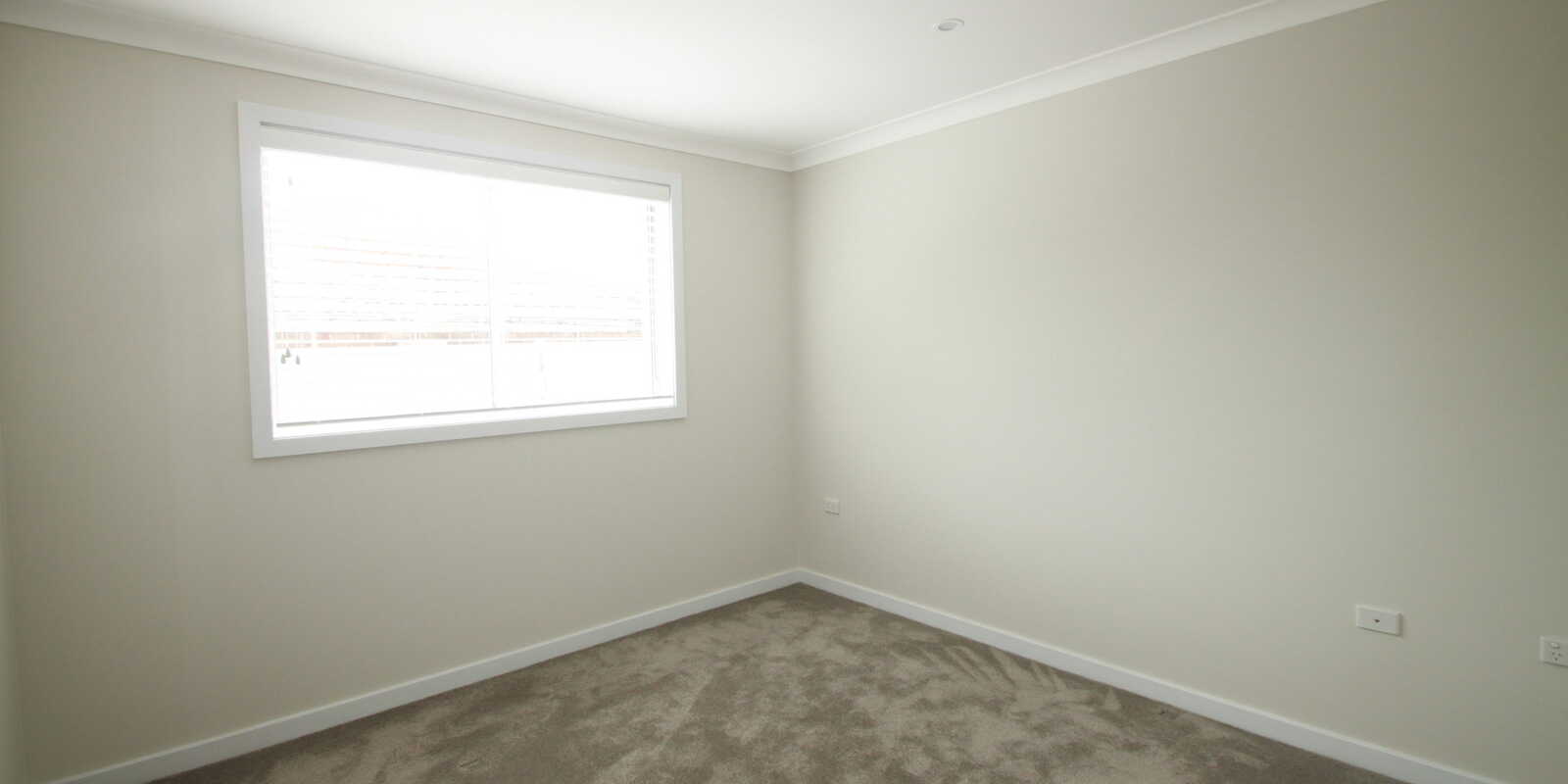 1/3 Roach Street Marrickville