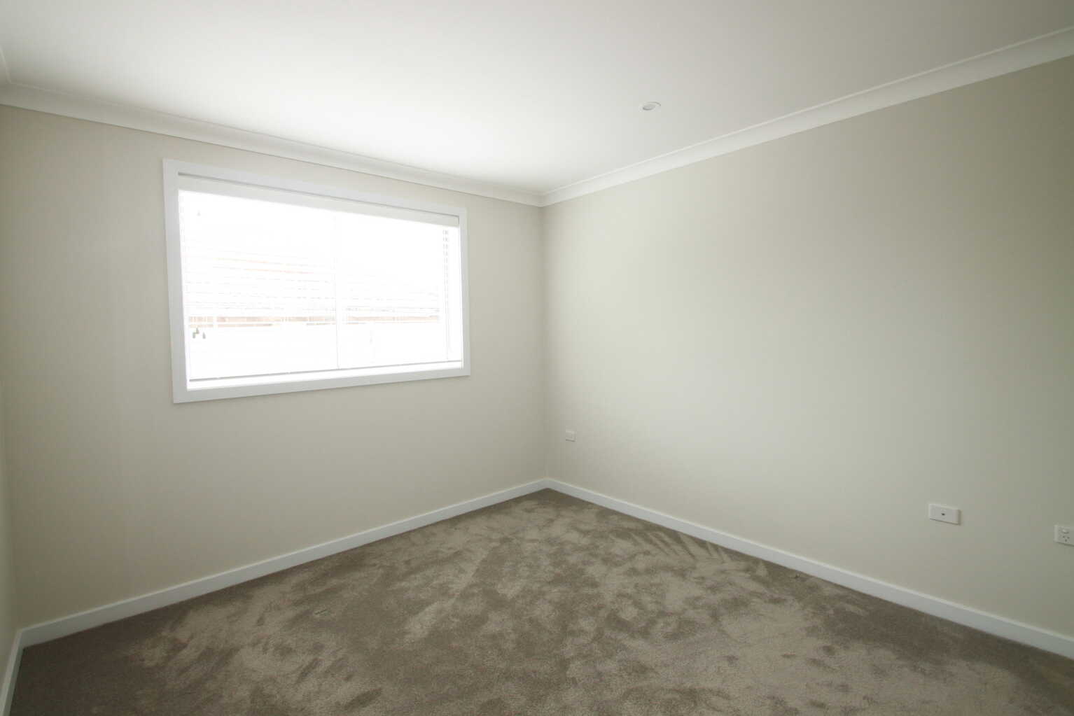 1/3 Roach Street Marrickville