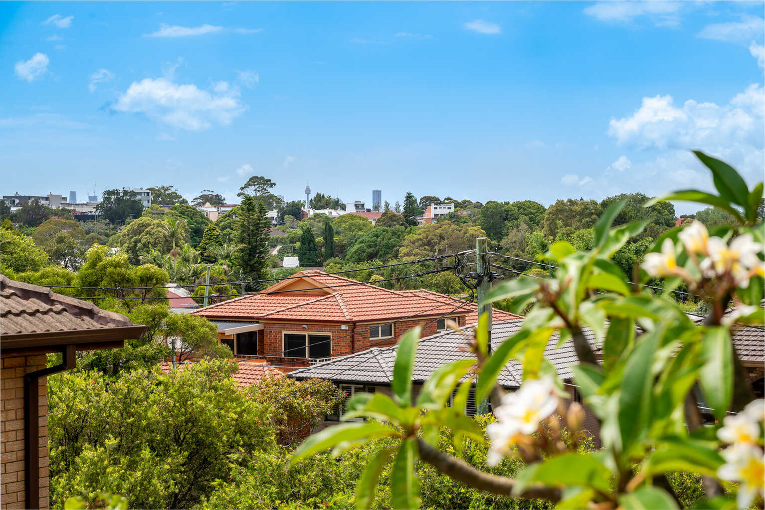 8/46 Terrace Road Dulwich Hill 8/46 Terrace Road Dulwich Hill