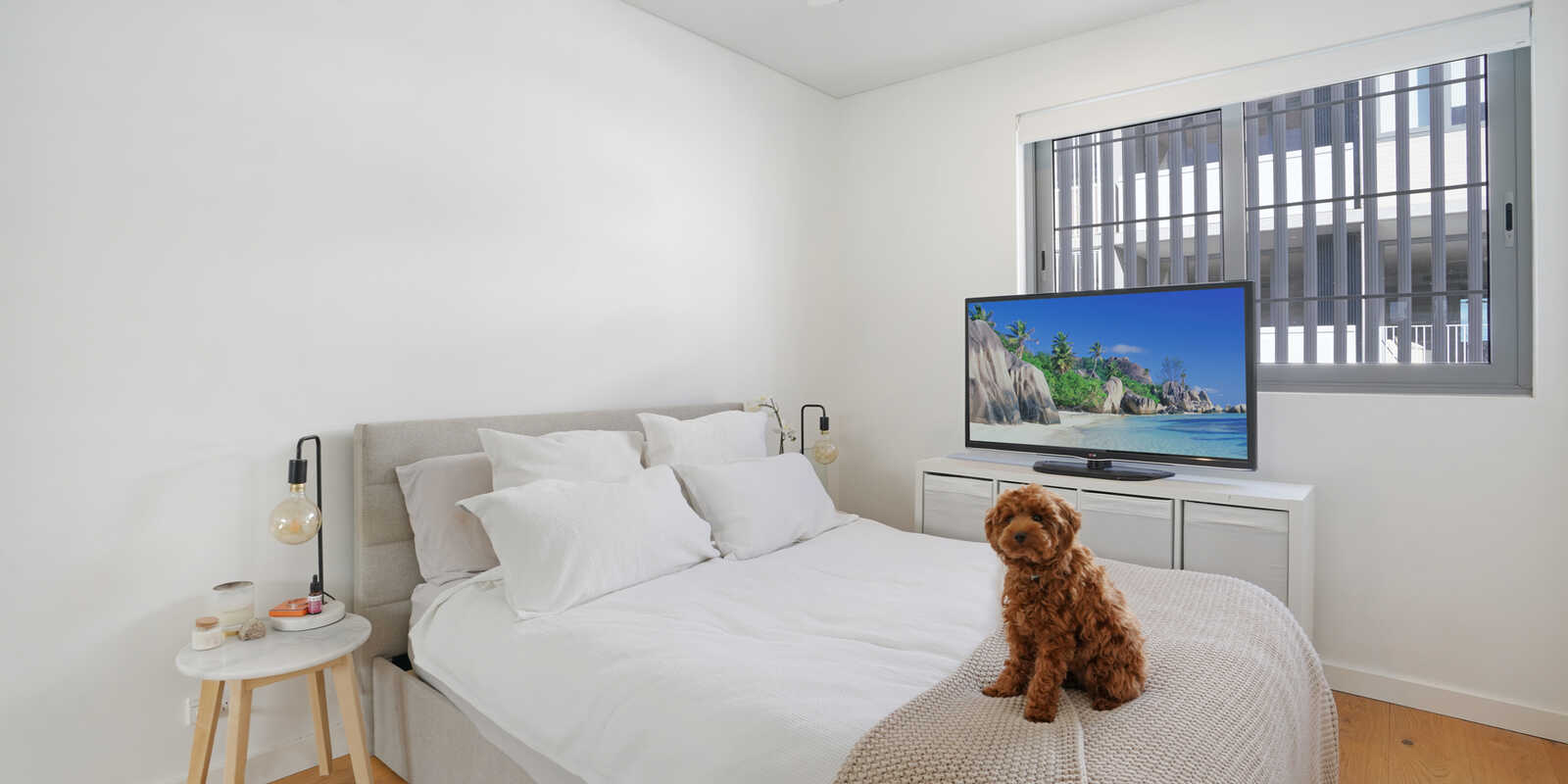 361/803 New Canterbury Road Dulwich Hill 361/803 New Canterbury Road Dulwich Hill