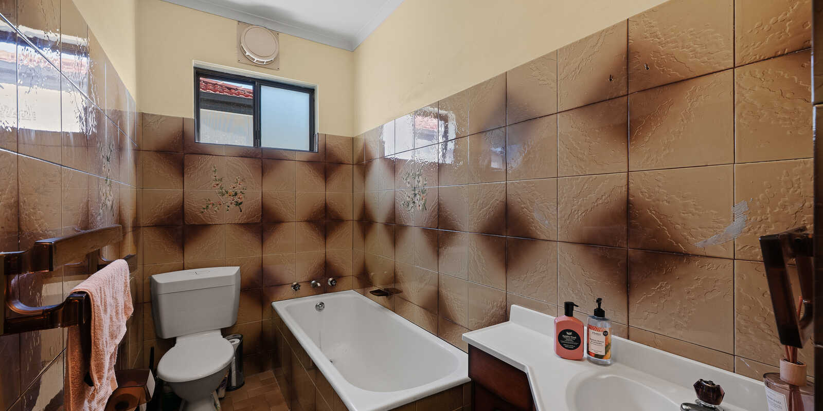 25 Canterton Street Hurlstone Park