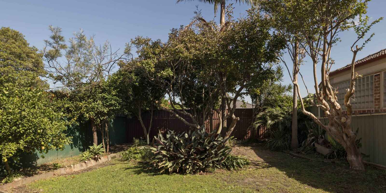 133 Duntroon Street Hurlstone Park