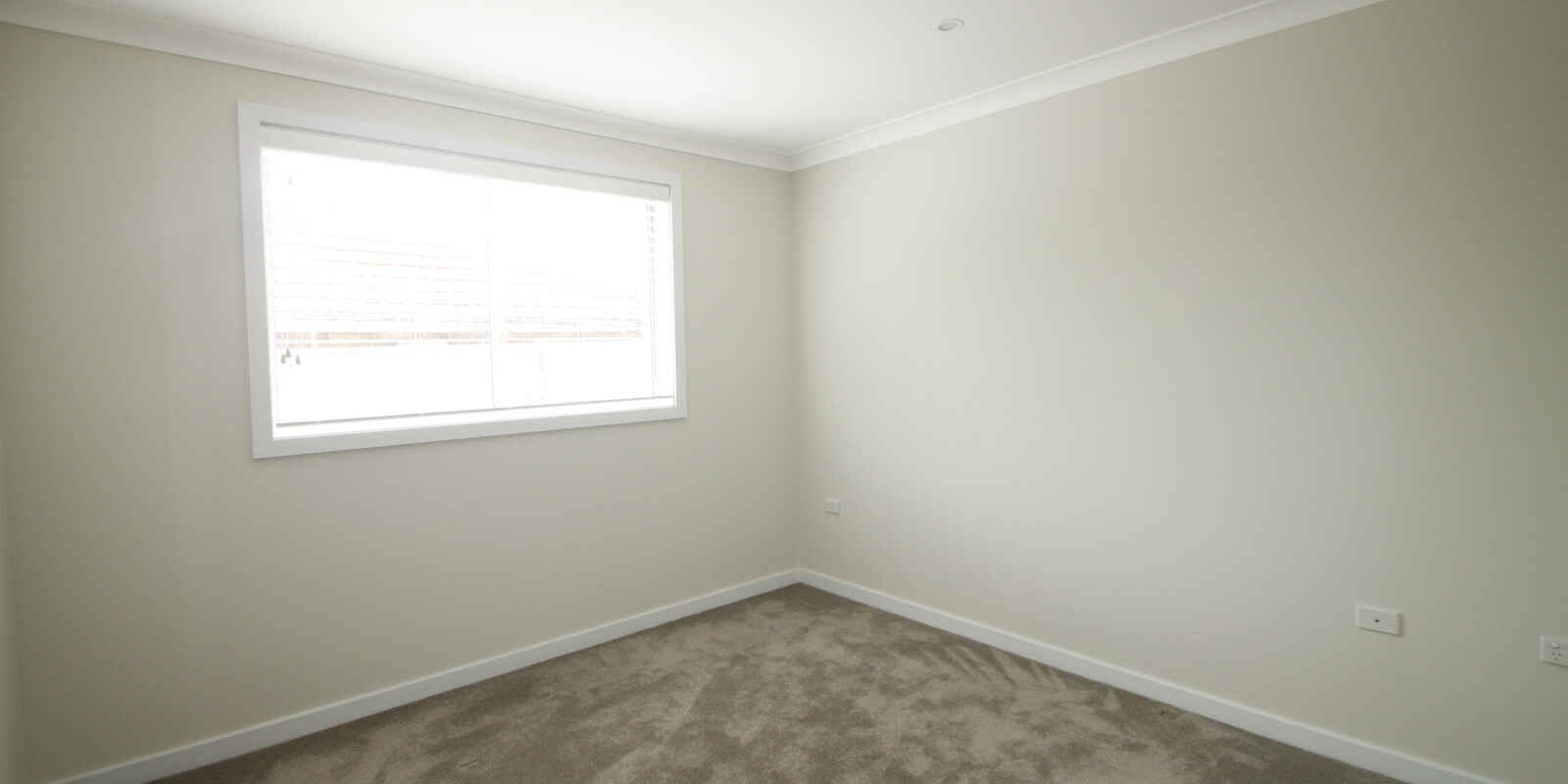 1/3 Roach Street Marrickville