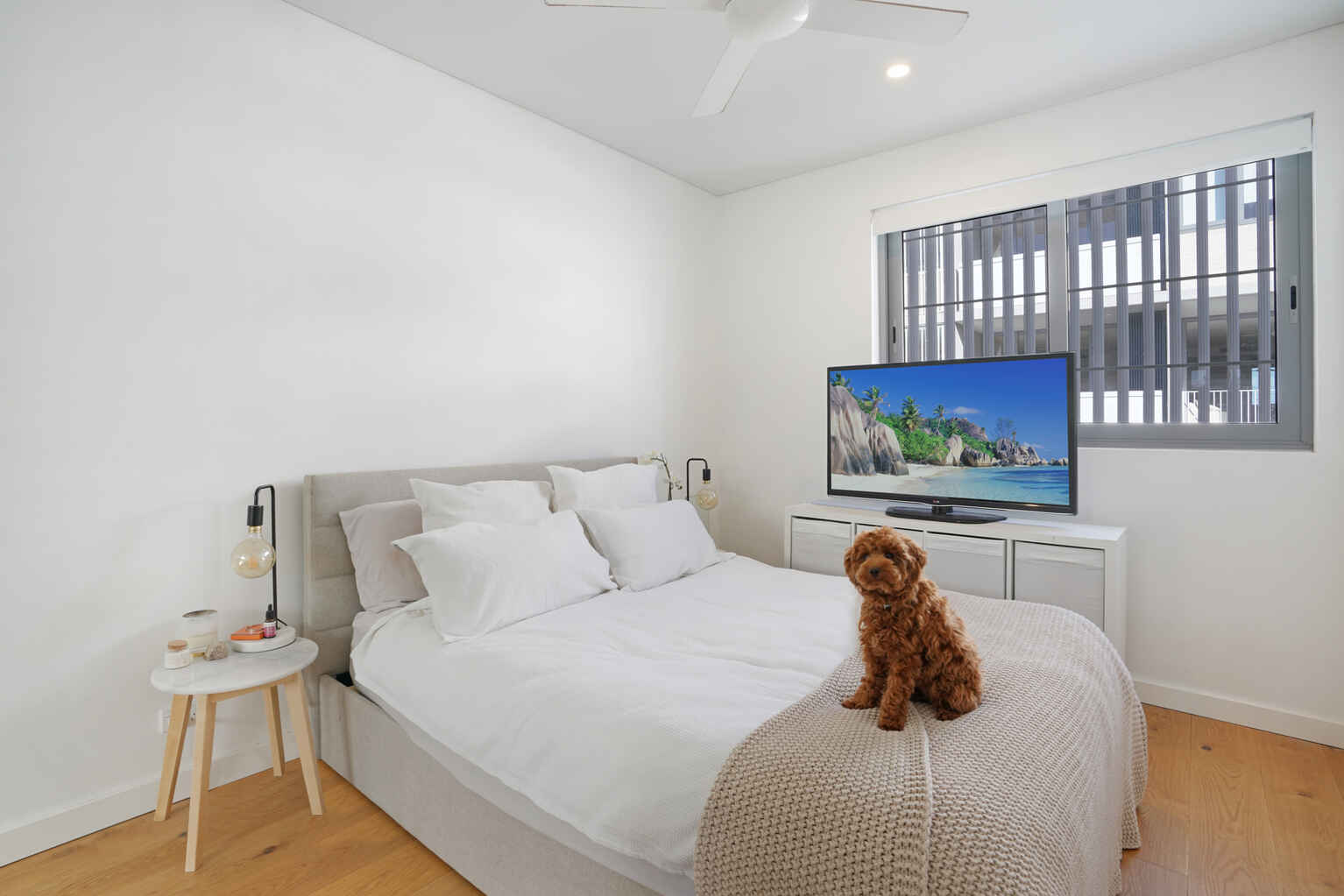 361/803 New Canterbury Road Dulwich Hill