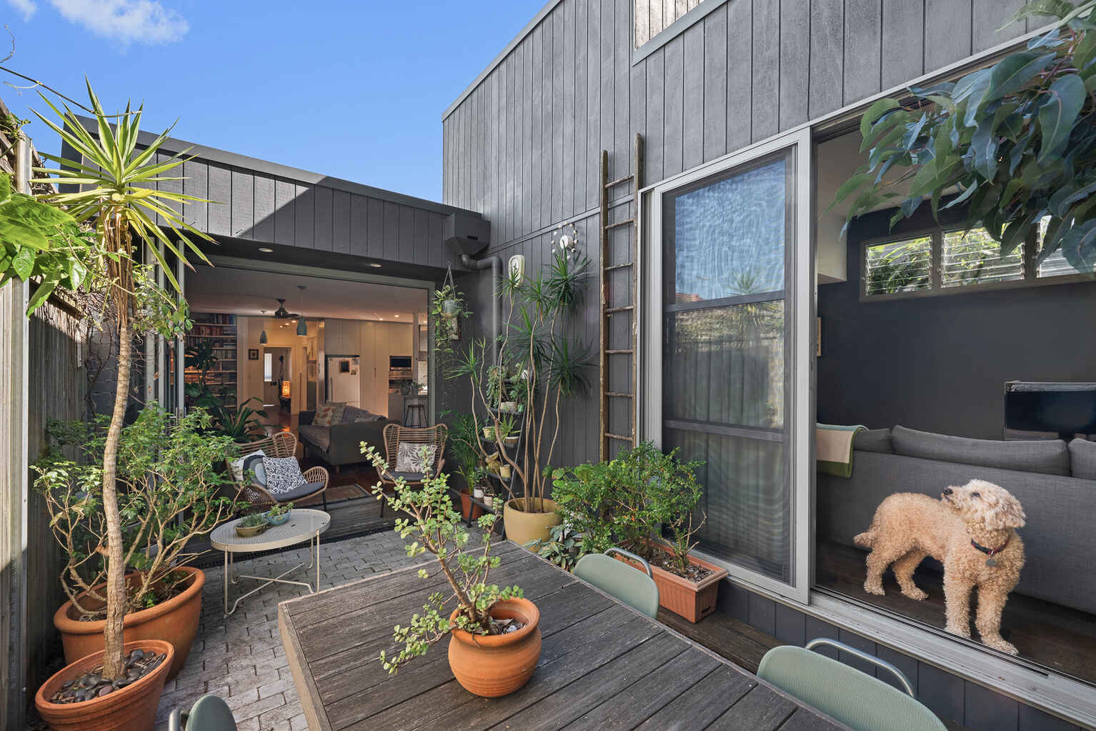 14 William Street Ashfield