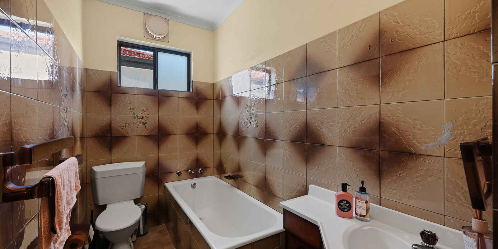25 Canterton Street Hurlstone Park